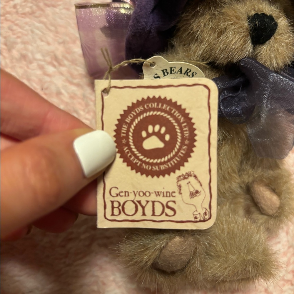 boyd’s bear - Picture 2 of 5